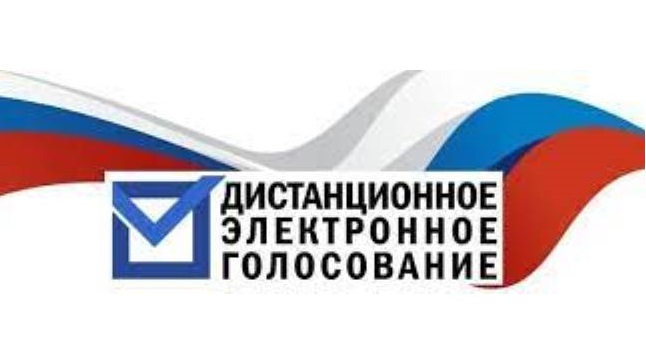 Костромичи смогут испытать систему дистанционного голосования