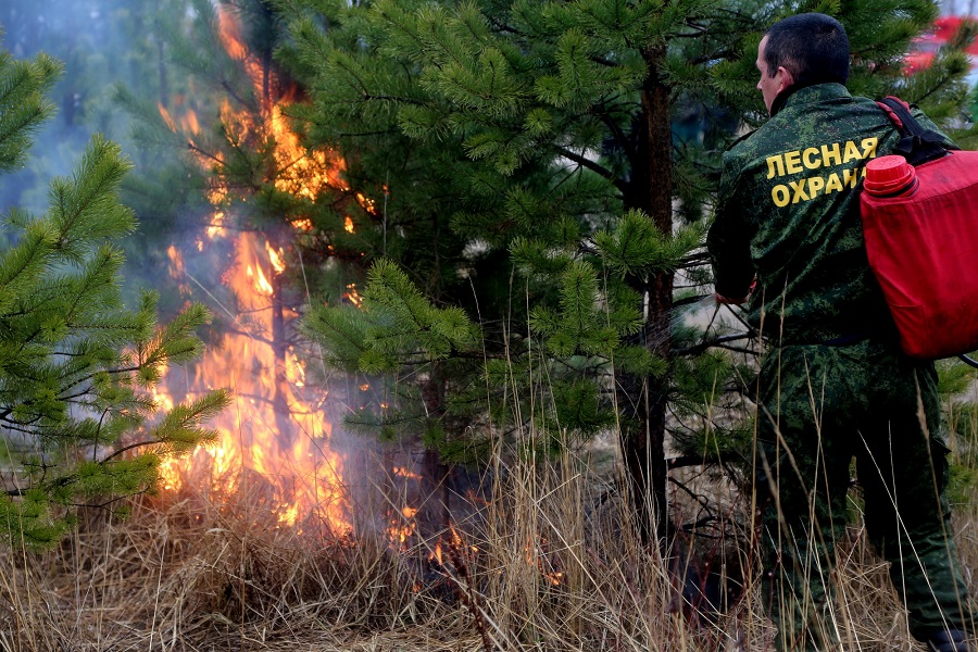 Костромские лесничие оперативно ликвидировали пожар в Кадыйском районе