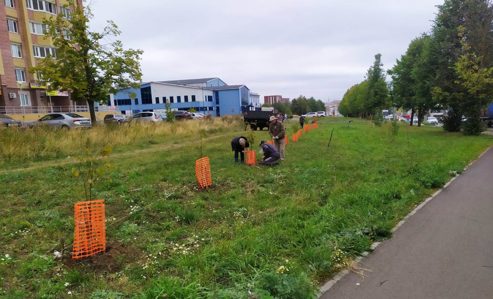С весны по осень в Костроме высадили 2 тысячи деревьев и кустов