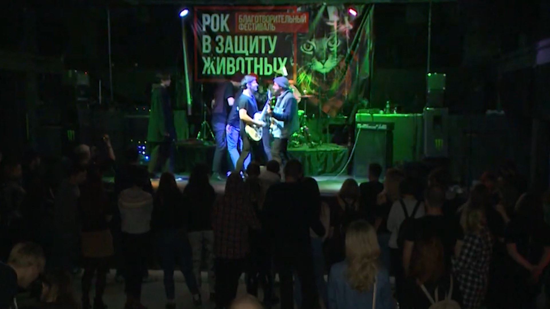 Кострома примет участников благотворительного концерта «Рок в защиту животных»