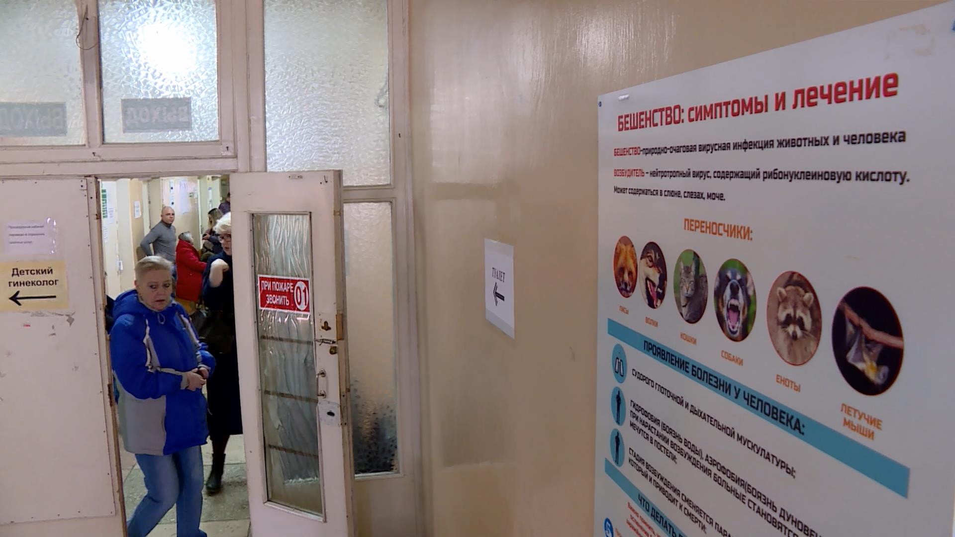 В Костромской области закончилась вакцина от бешенства
