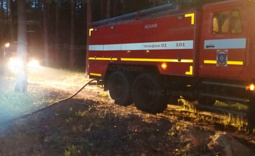В Костромской области оперативно потушили лесной пожар