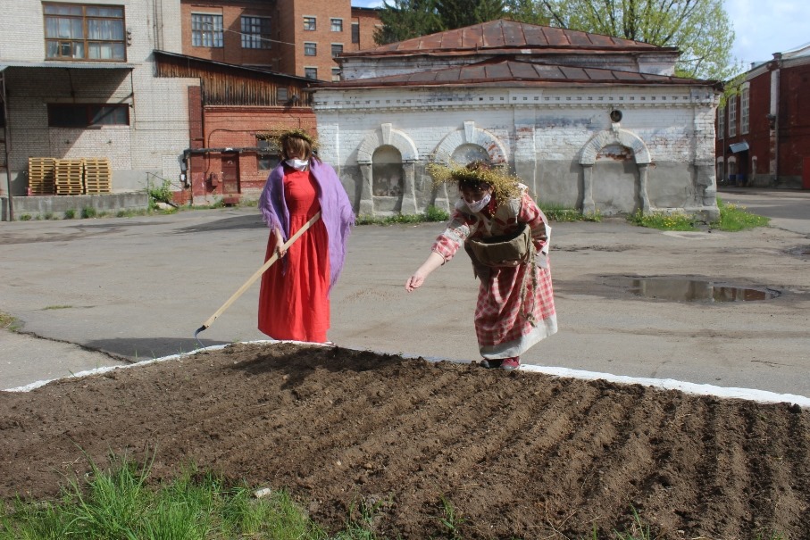 В Костроме посадили лен на клумбах льняной мануфактуры