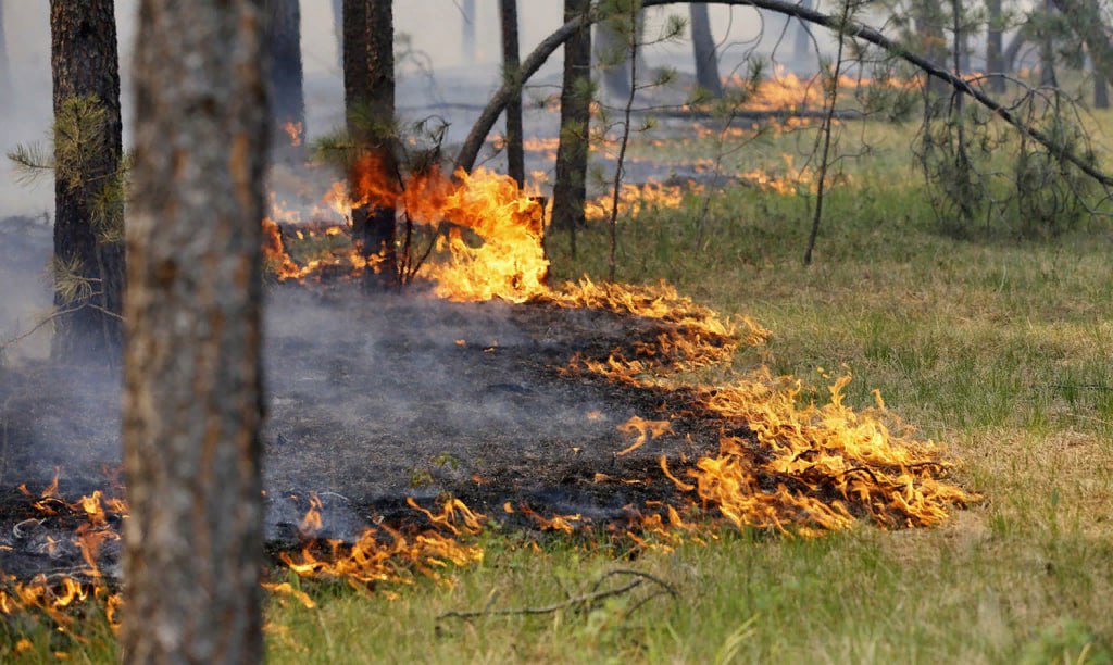 В Костромской области в ближайшие дни ожидается высокий класс пожарной опасности