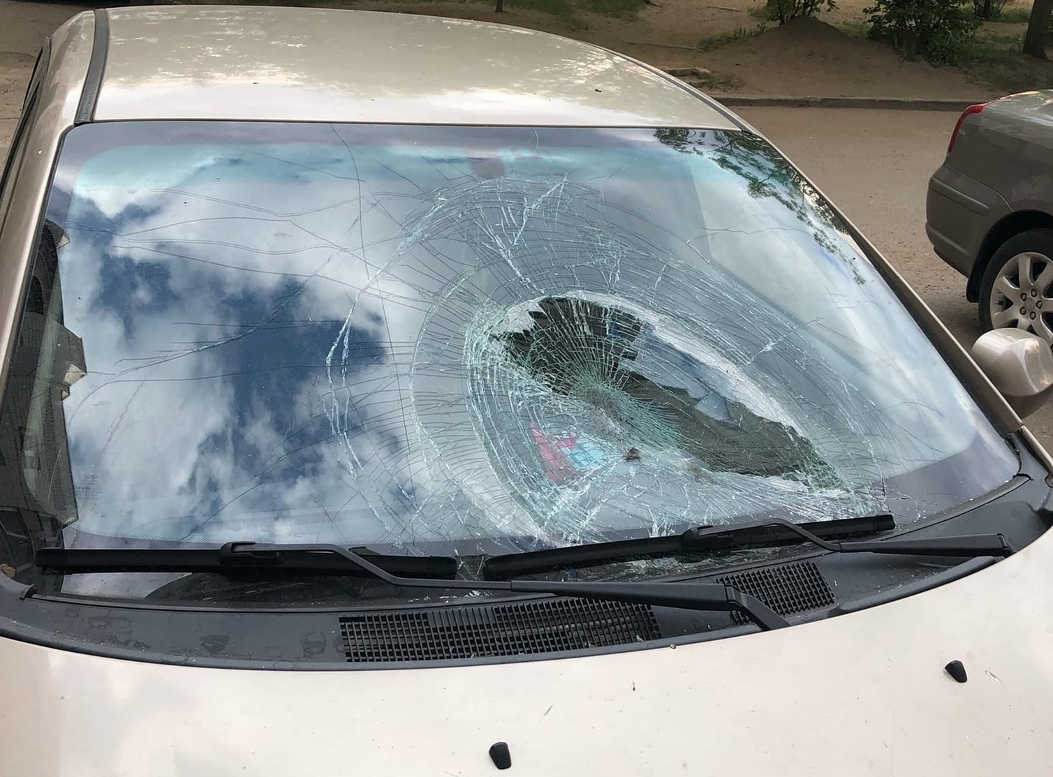 Кот разбил лобовое стекло автомобиля в Костроме