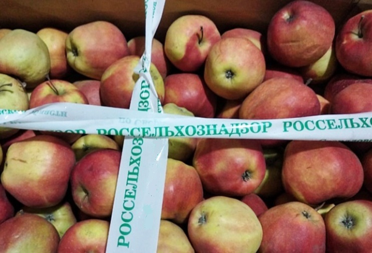 Подозрительные фрукты, овощи и грибы обнаружили на складе в Костроме