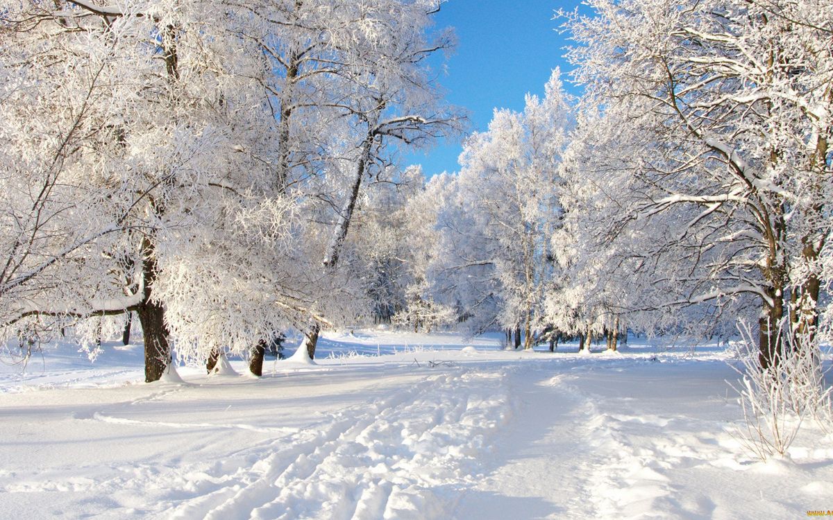 Метеопредупреждение: на Костромскую область надвигаются морозы