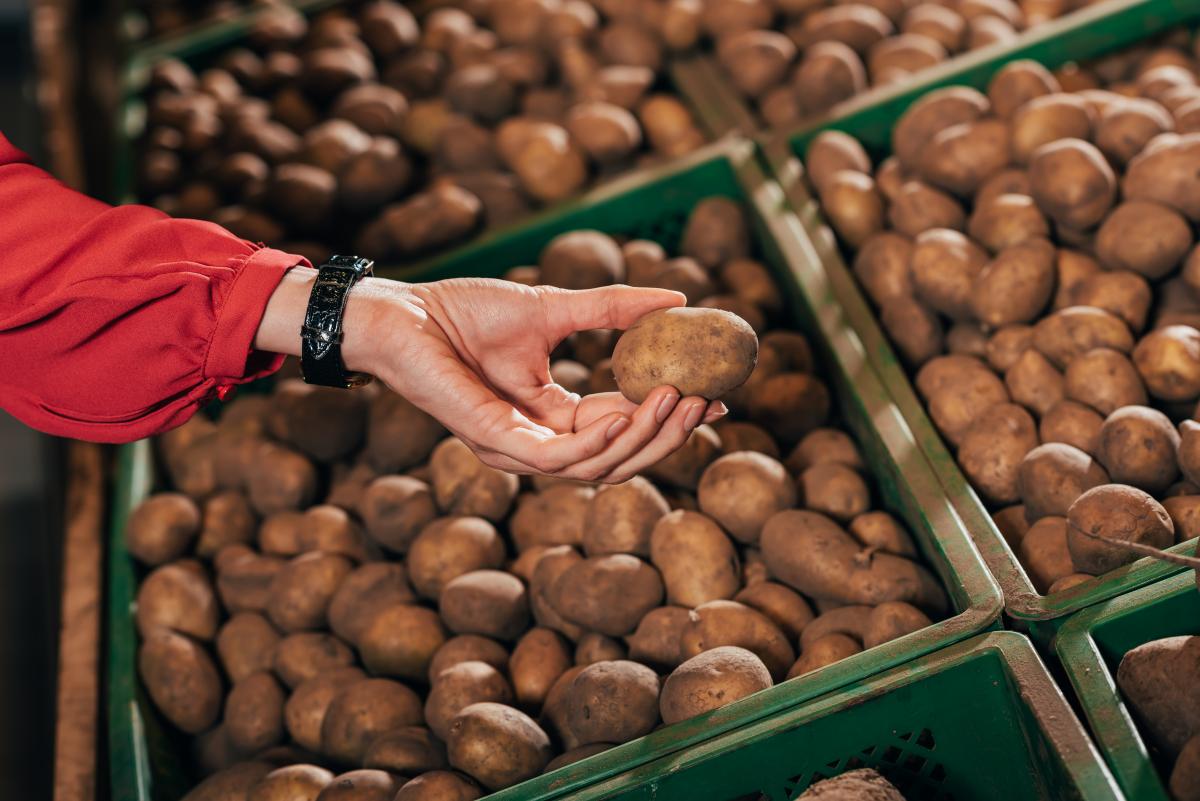 Цена на картофель в Костроме взлетела за май почти на 23 процента