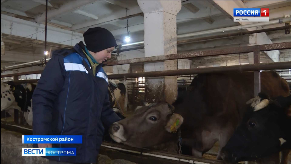 В Костромской области стартует конкурс грантов на развитие семейных ферм
