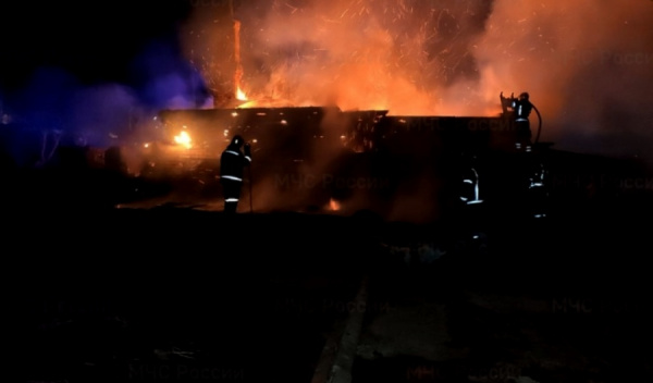 На пожаре в деревне Василёво под Костромой погибла женщина
