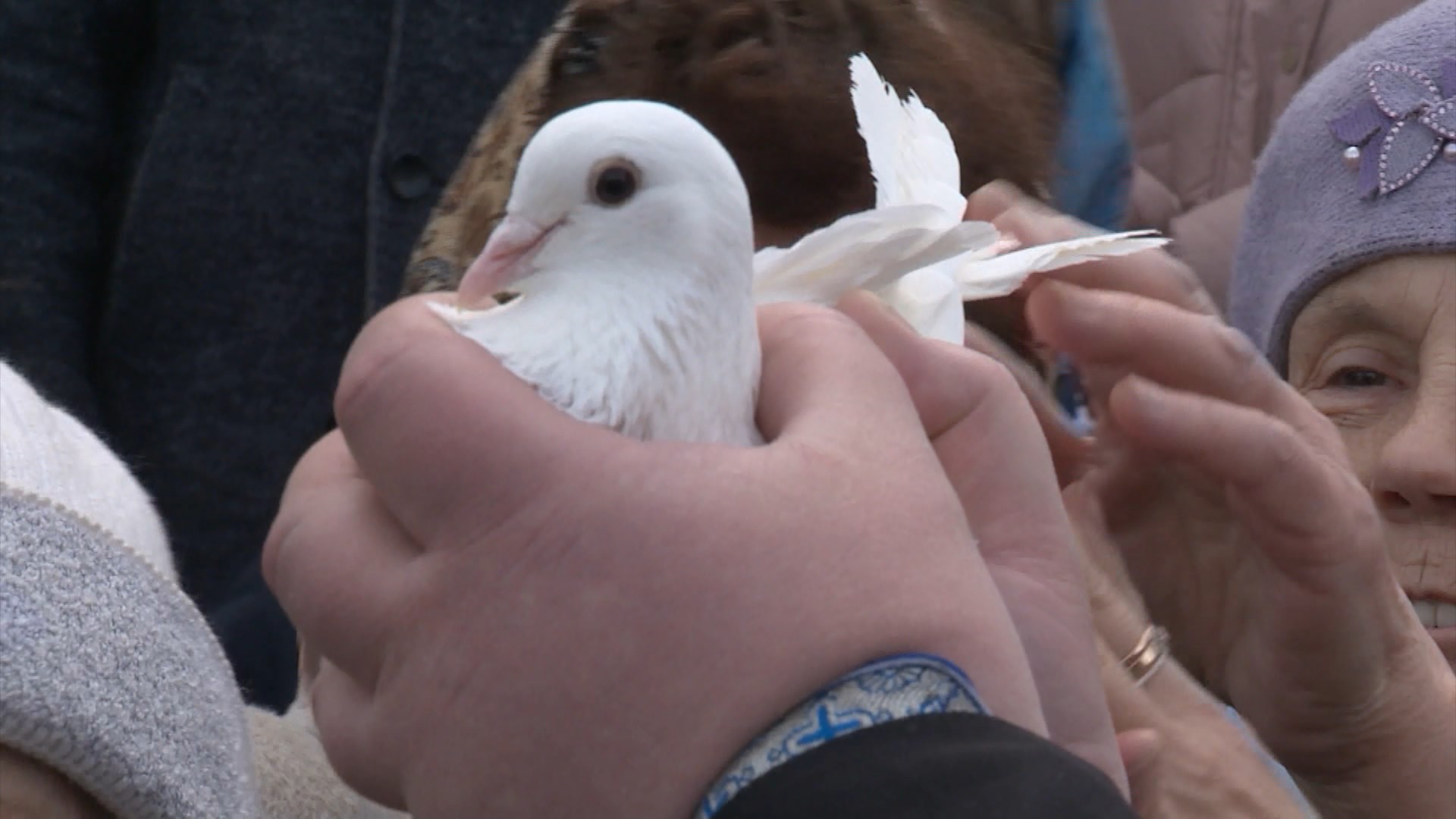Священники в Костроме выпустят в небо белых голубей