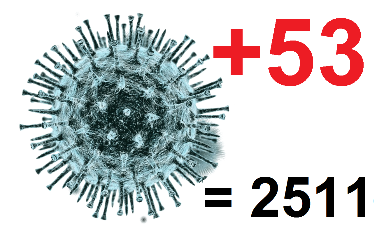 Антирекорд: за сутки коронавирус подтверждён у 53 костромичей