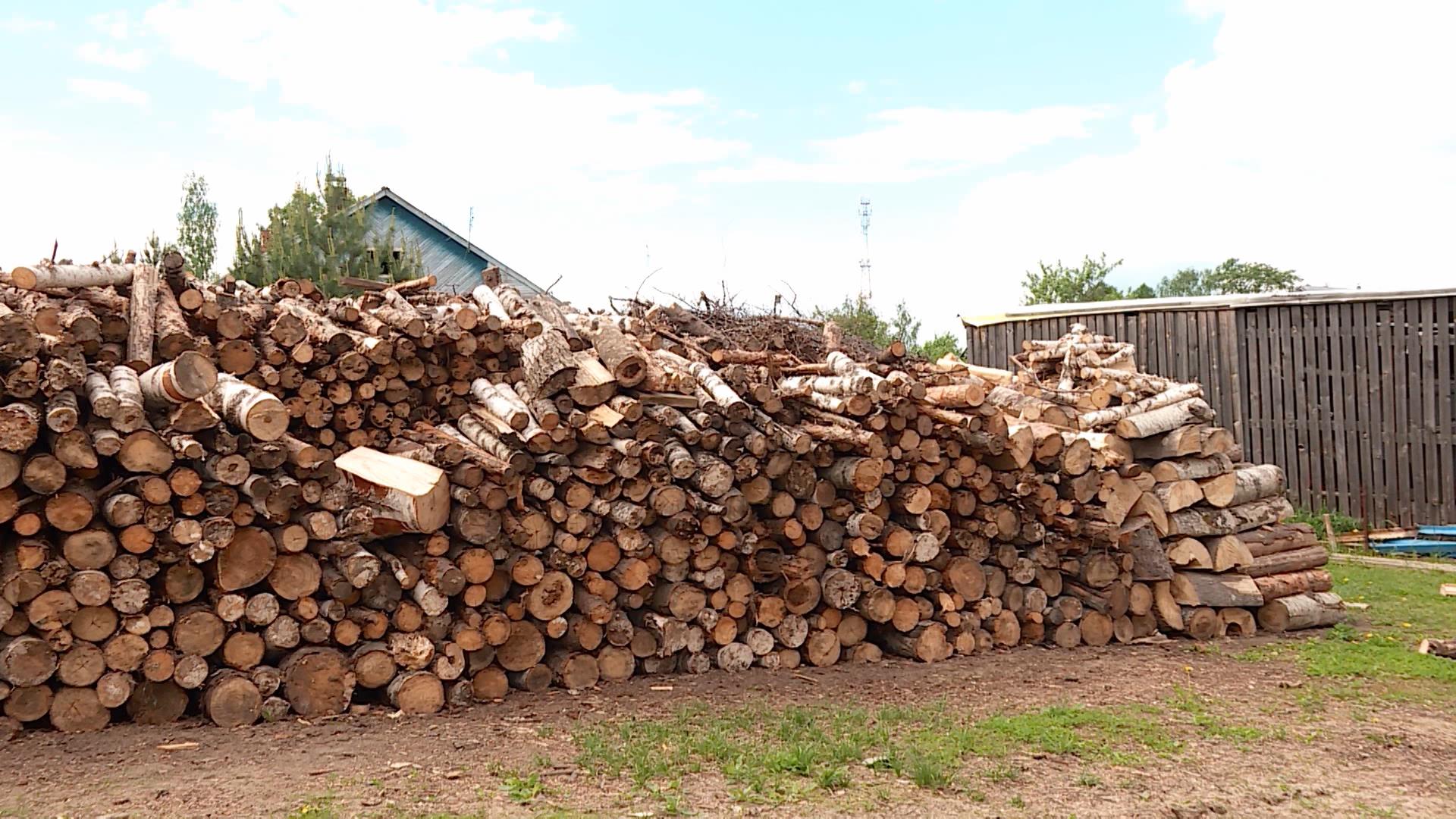 В районах Костромской области началась заготовка дров