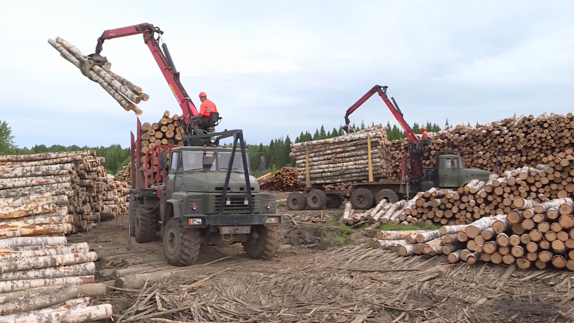 В Костромской области будут чествовать работников лесной отрасли