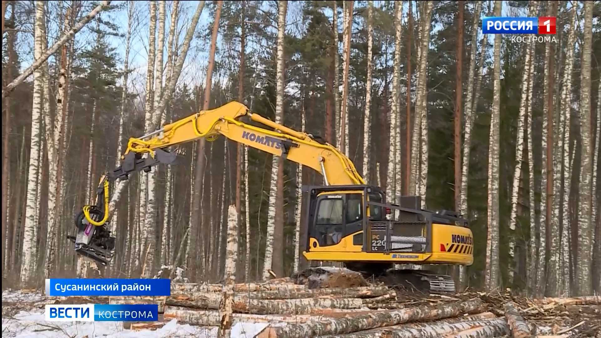 Сенокос» начался в костромских лесах | ГТРК «Кострома»