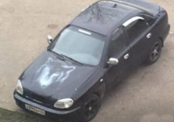 Полиция ищет угонщика машины с рисунком волка на капоте