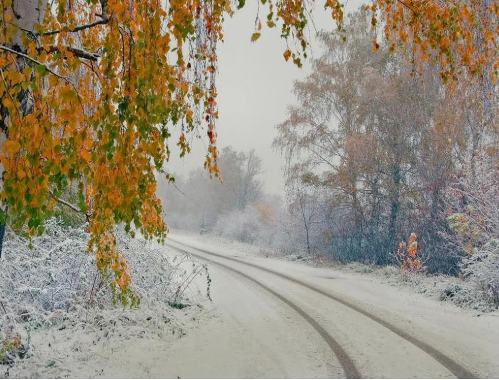 В понедельник в Костромскую область придет зима