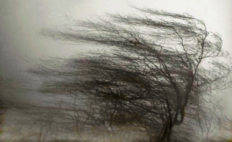 Синоптики прогнозируют в Костромской области сильный ветер