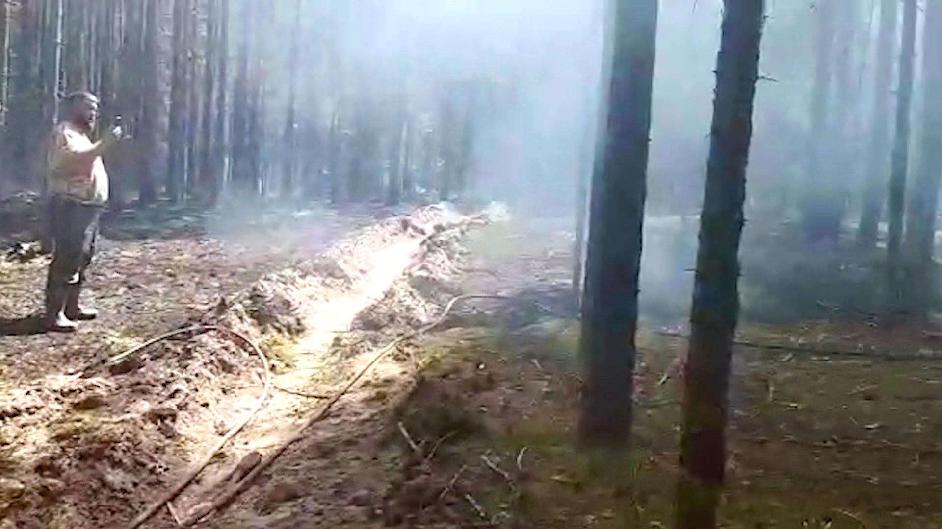 Огнеборцы потушили лесной пожар в Костромском районе