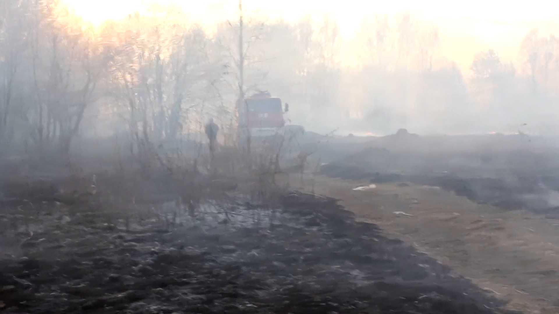 Из-за пала травы в Нерехтском районе Костромской области введен режим ЧС