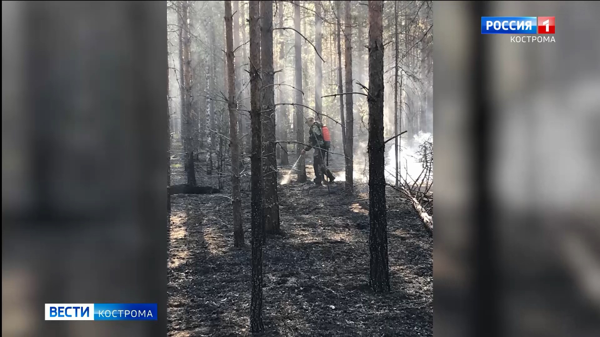 Видео в городе Буе Костромской области Лесной пожар 5 часов назад