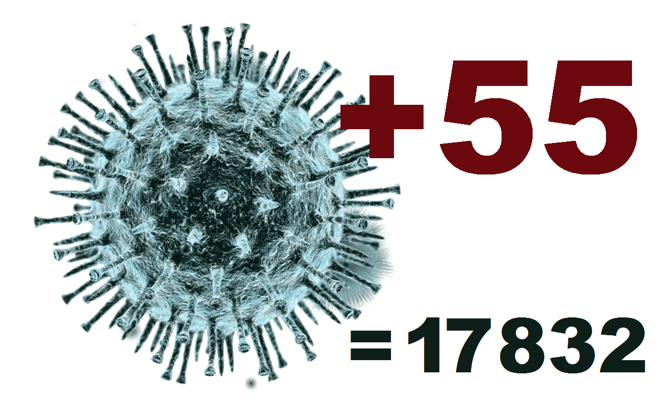 За сутки в Костромской области выявлено 55 заболевших коронавирусом
