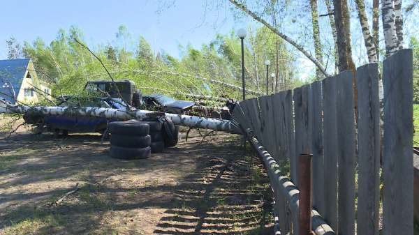 В Костромской области подсчитывают ущерб от субботнего урагана