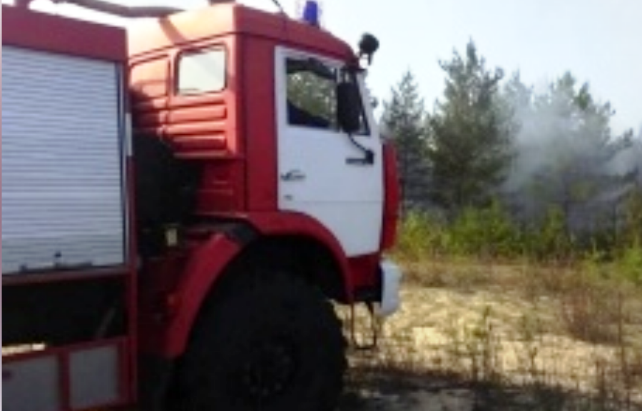 Лесной пожар на семи гектарах потушили в Костромской области