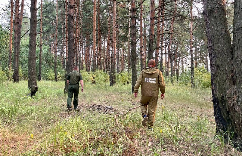 В Костромской области отменен особый противопожарный режим