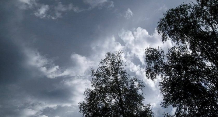 Метеопредупреждение: в Костромской области прогнозируют усиление ветра и гроза