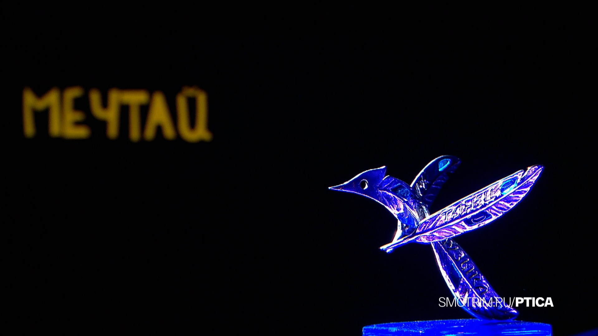 Костромские таланты могут заявить о себе на всю страну в проекте «Синяя птица»
