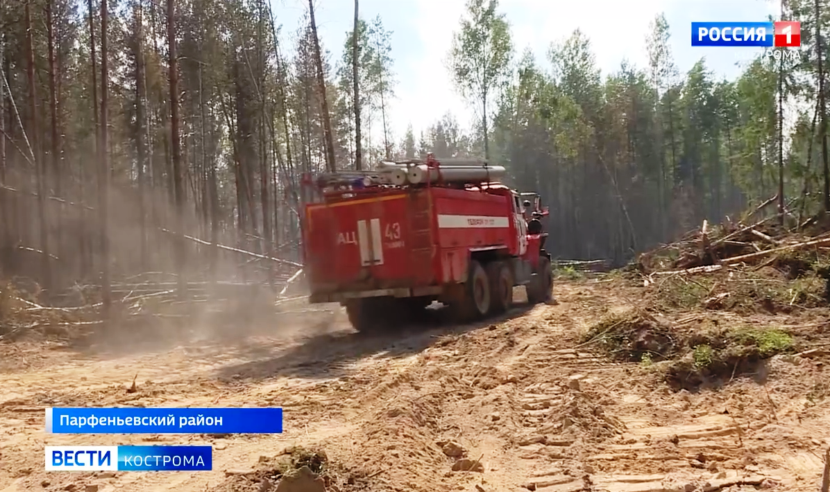 Крупный лесной пожар в Парфеньевском районе потушили спустя два дня