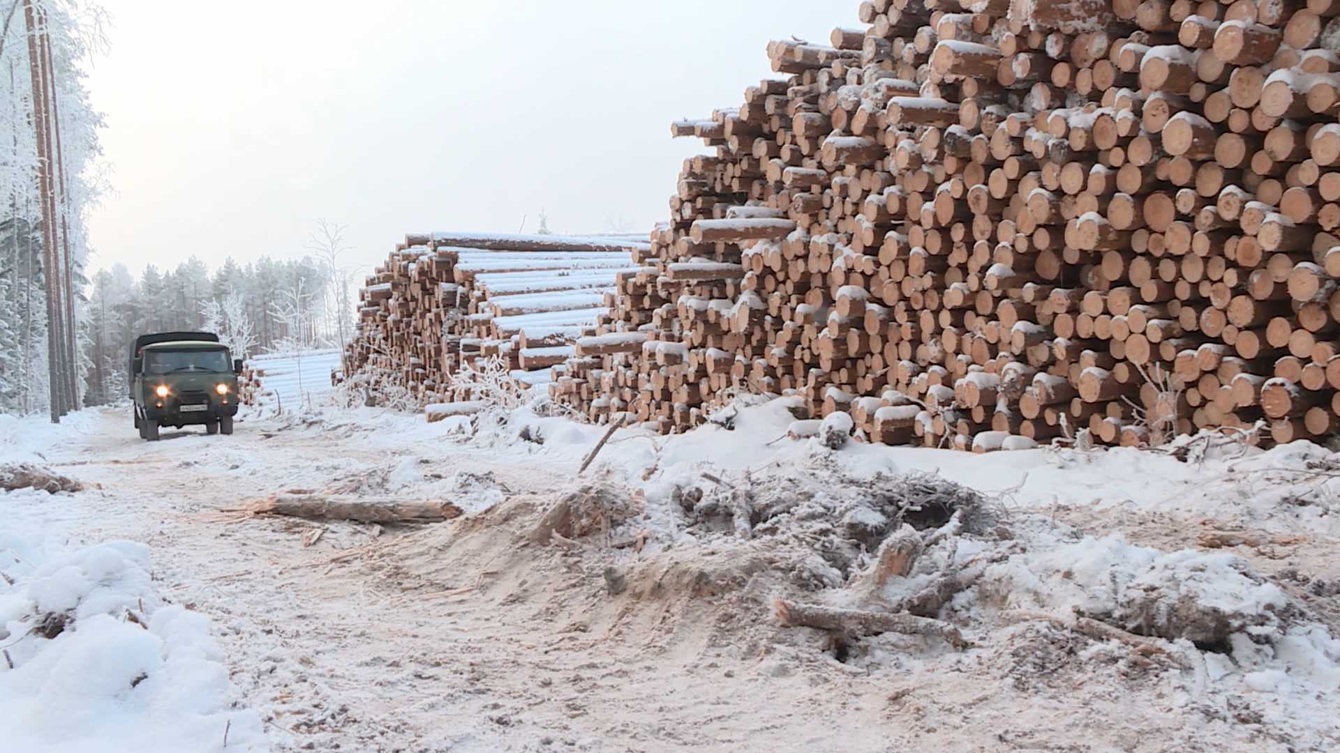 Три новых площадки для хранения древесины оборудуют в Костромской области