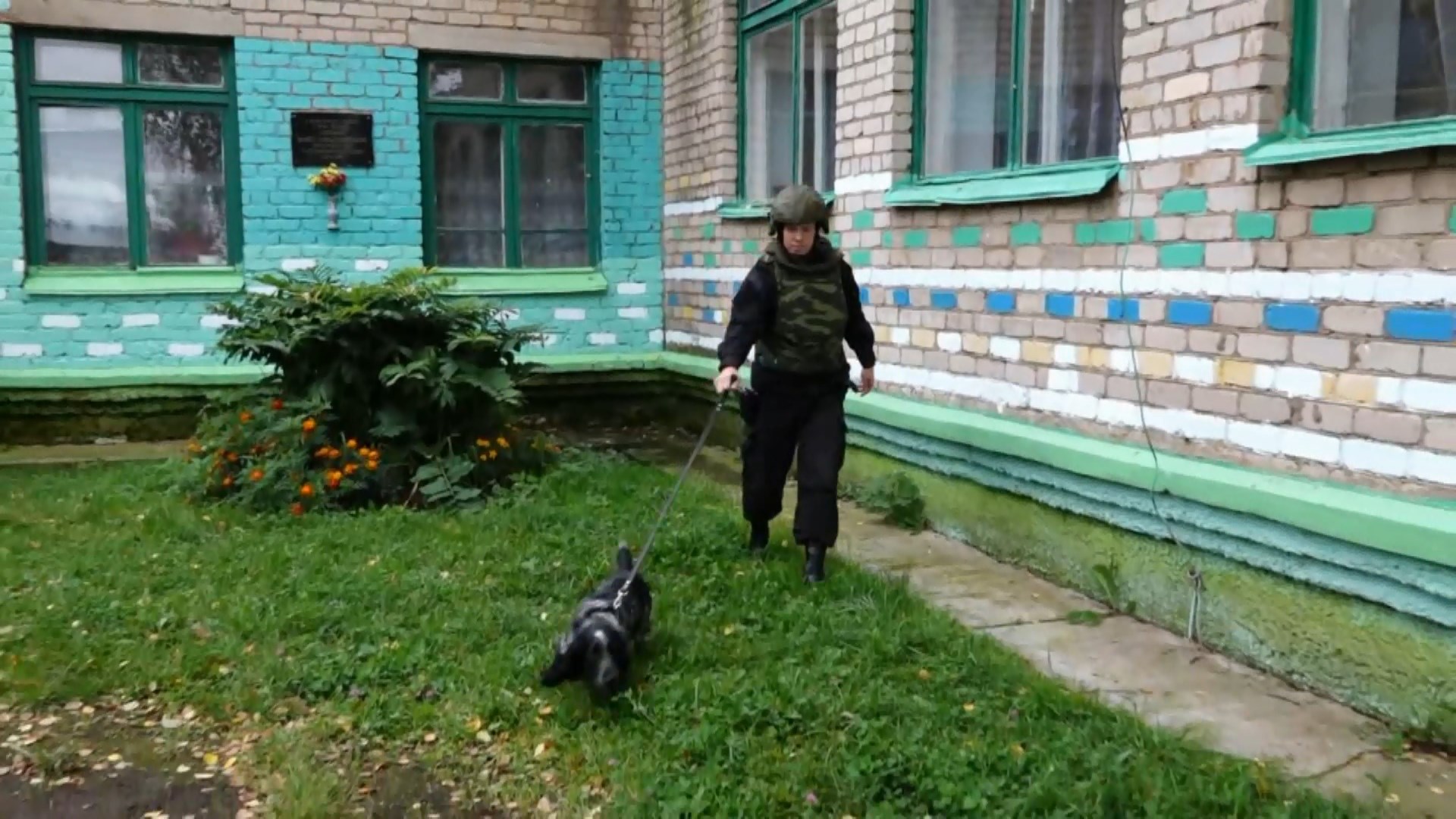 Собаки из Росгвардии в считанные минуты разобрались с мнимым минированием костромских школ