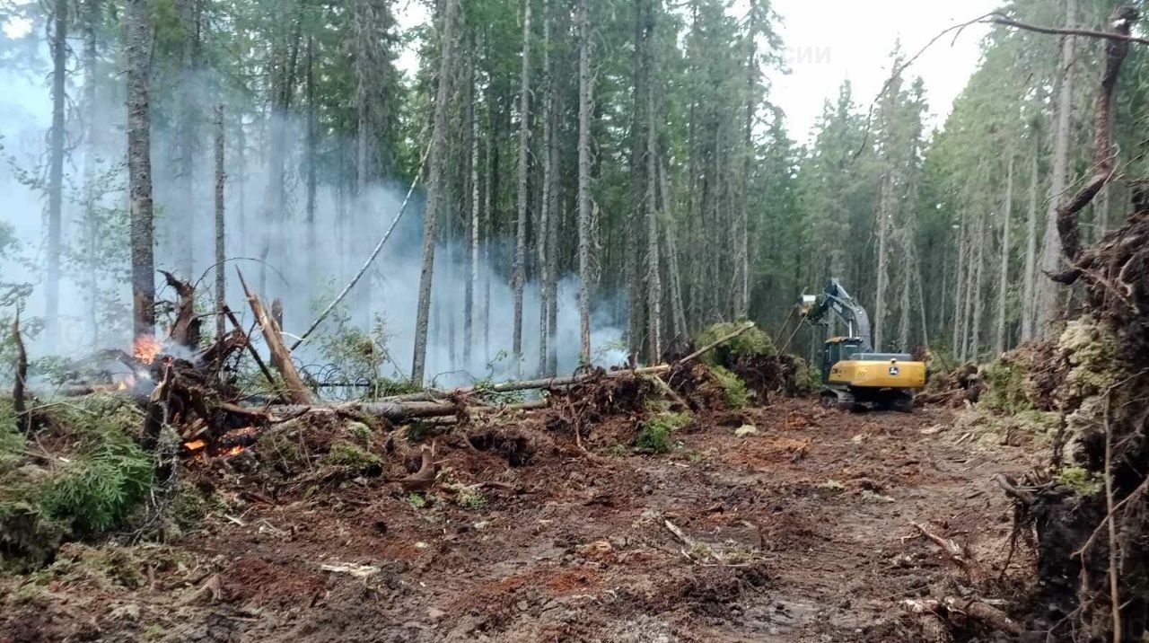Горят леса в двух районах Костромской области