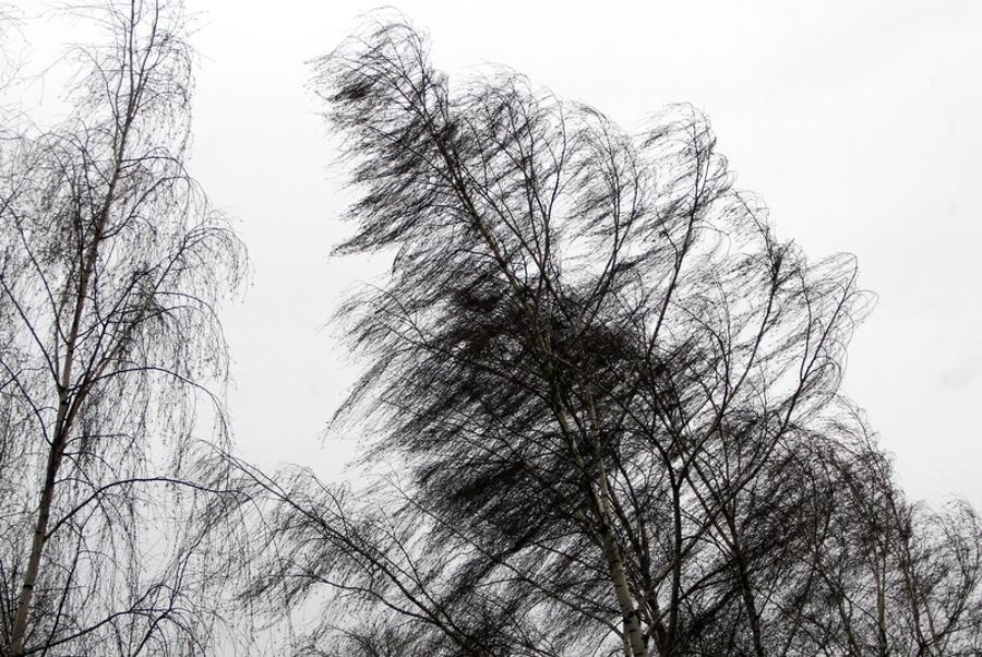 Метеопредупреждение: в Костроме и по области ветер до 17м/с