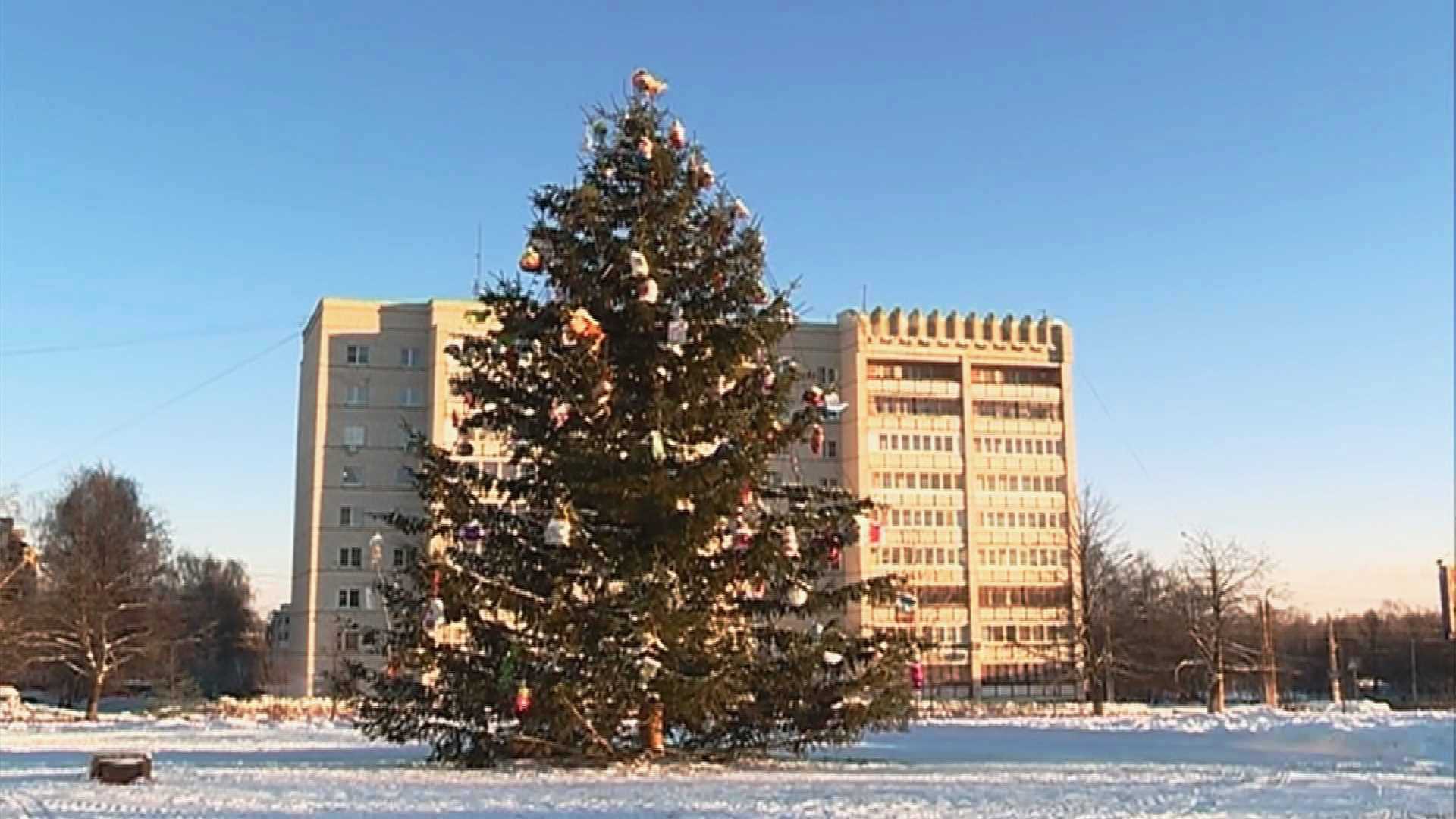 Улицы Костромы украсят 13 новогодних ёлок