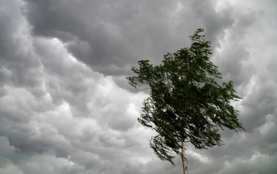 Метеопредупреждение: в Костромской области ожидается усиление ветра