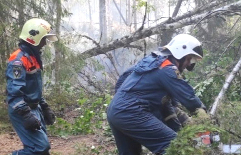 Крупнейший лесной пожар в Костромской области потушили спустя месяц
