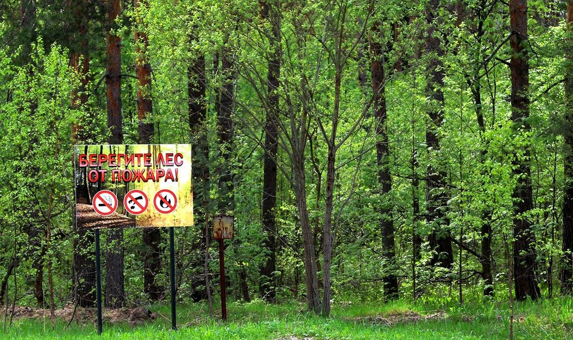 Высокий класс пожароопасности в Костромской области сохранится и на начало июня