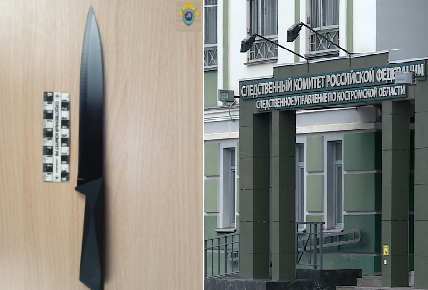 Пожилой житель Костромы обвиняется в совершении убийства
