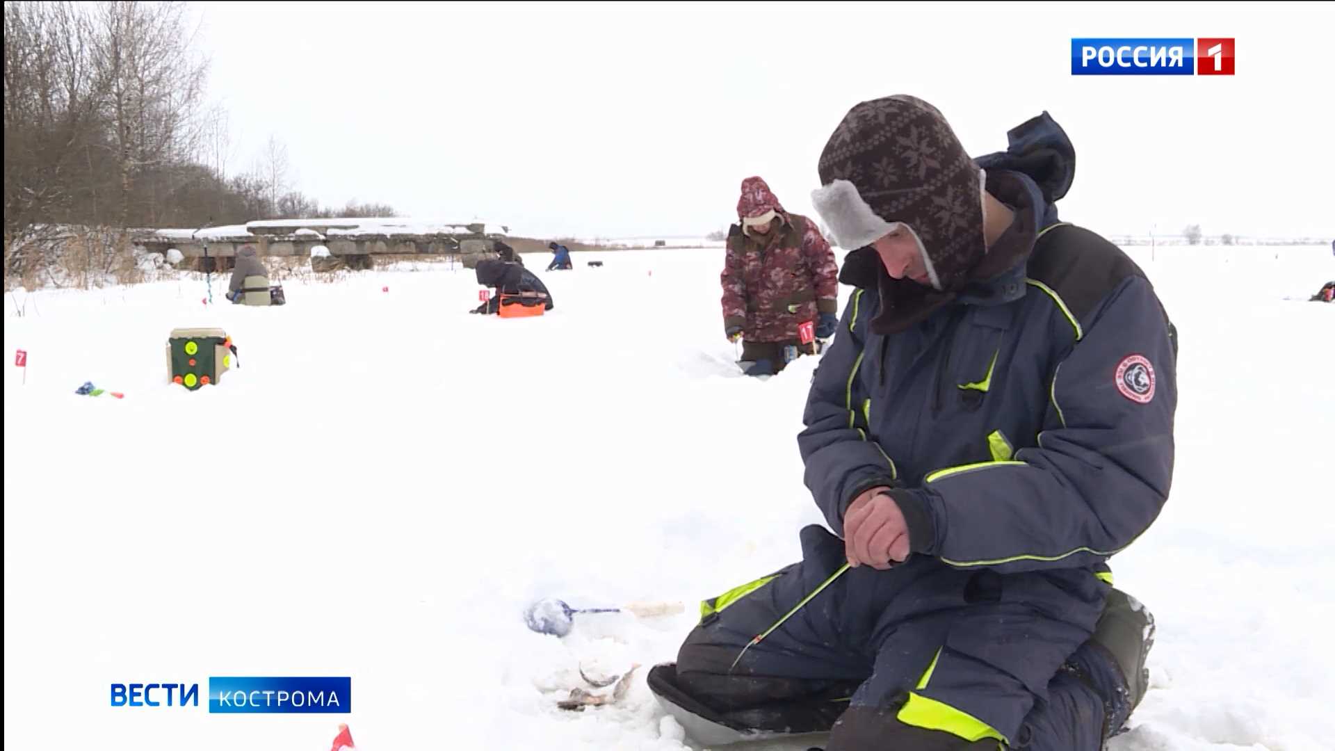 Костромским рыбакам временно запретят ловить налима