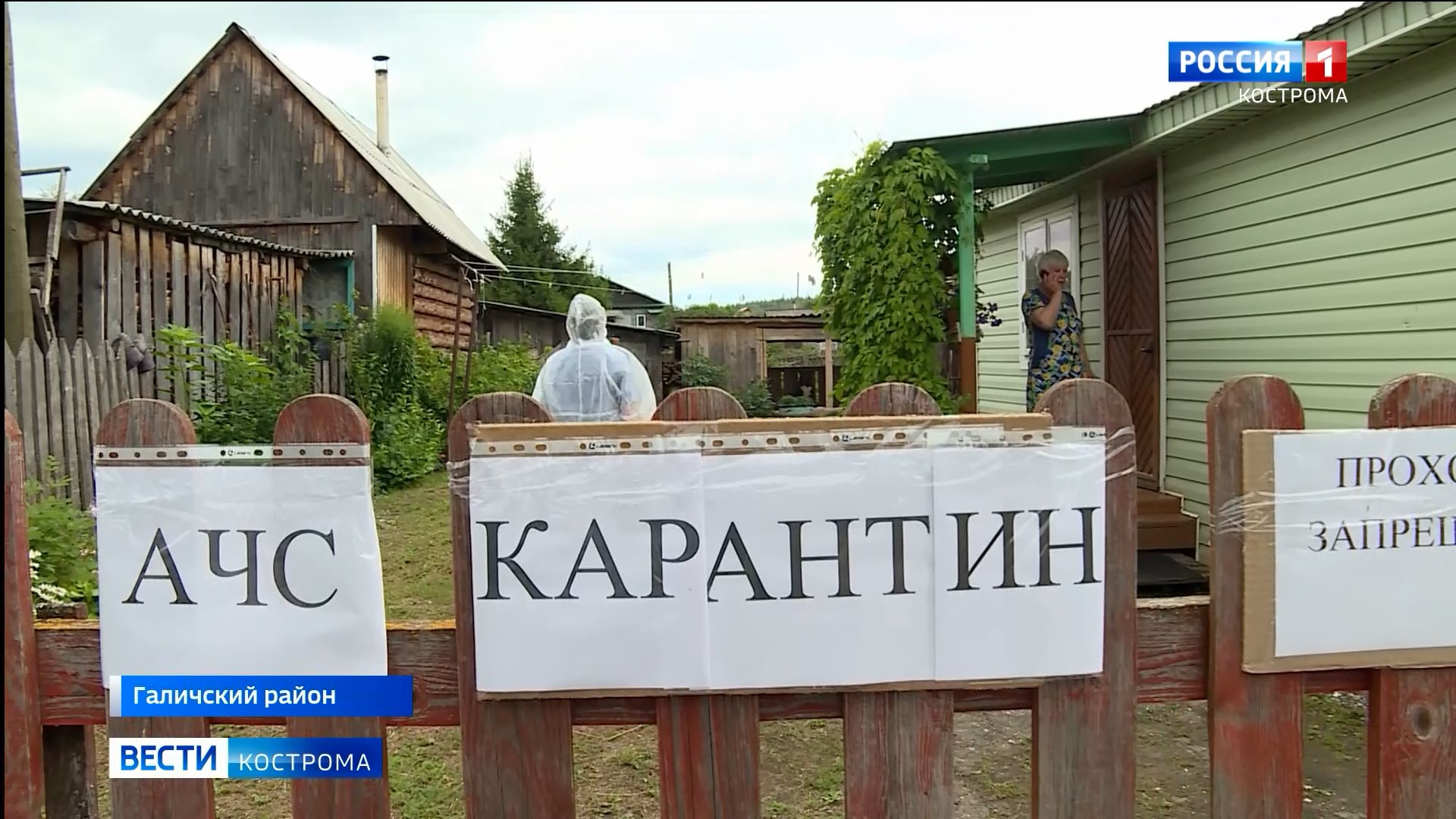 В Костромской области введены ограничительные меры из-за чумы свиней