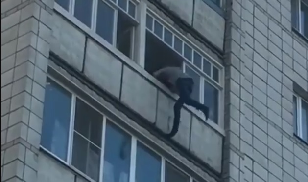 Человек-паук был замечен в Костроме в микрорайоне Якиманиха