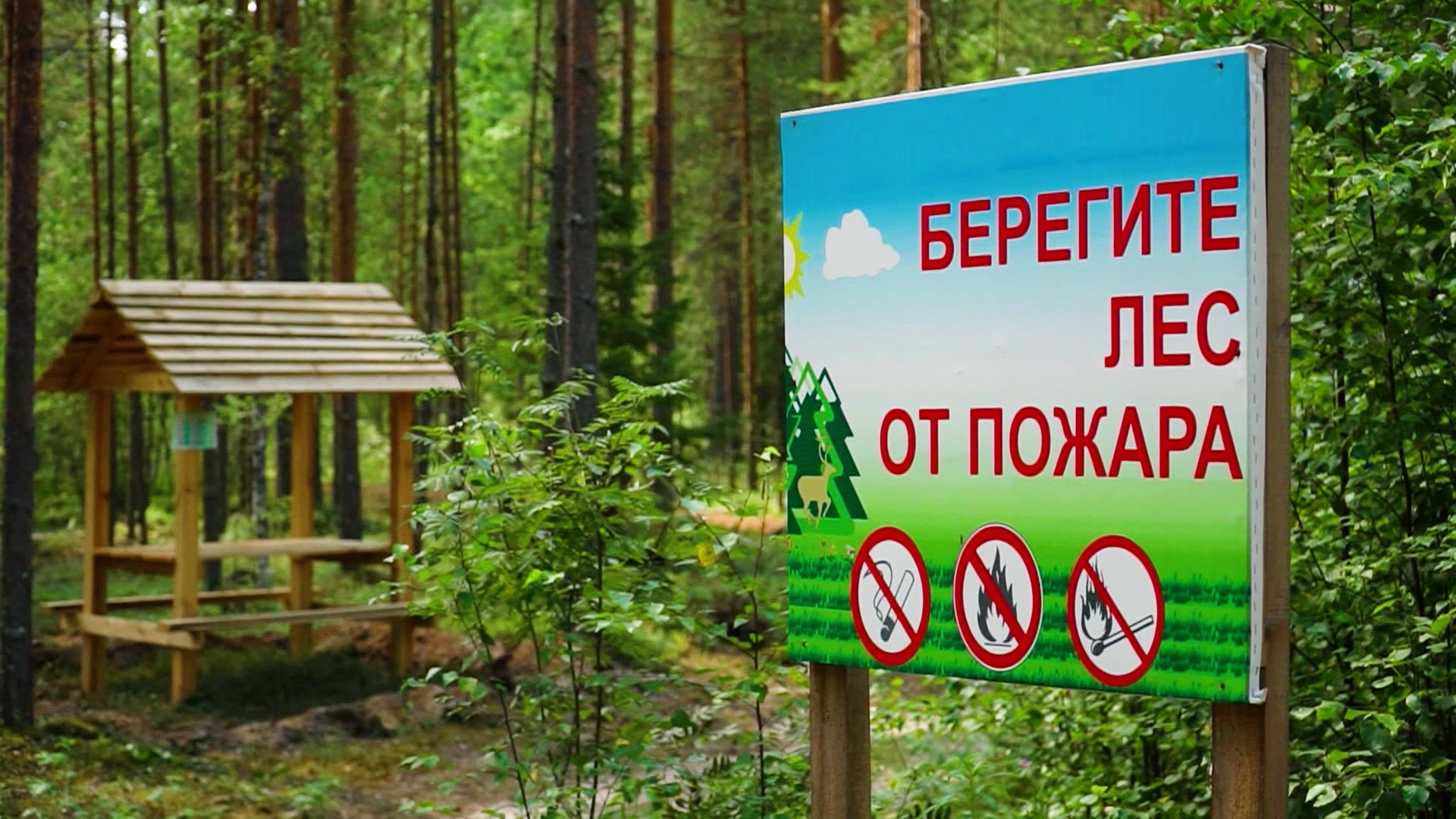 Класс пожарной опасности в Костромской области может достигнуть максимального уровня