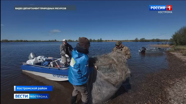 Команда «Румяные насекомые и птички» победила в чемпионате по ловле мусора на Костромском море