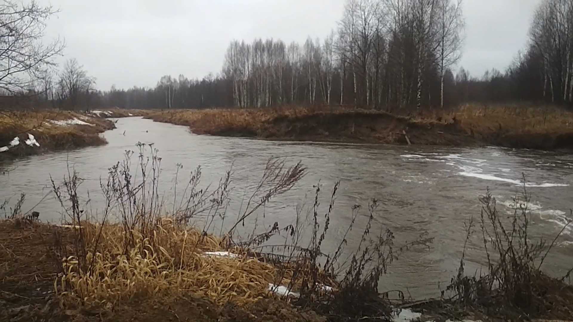 Костромская область готовится к приходу большой воды