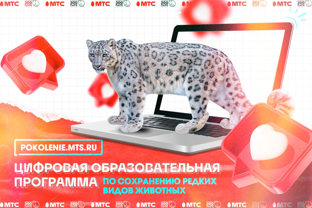 Костромские школьники могут выиграть экскурсию «за кулисы» Московского зоопарка
