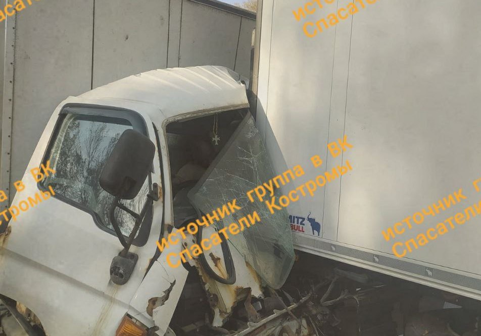 В столкновении двух фур на федеральной трассе под Костромой погиб человек