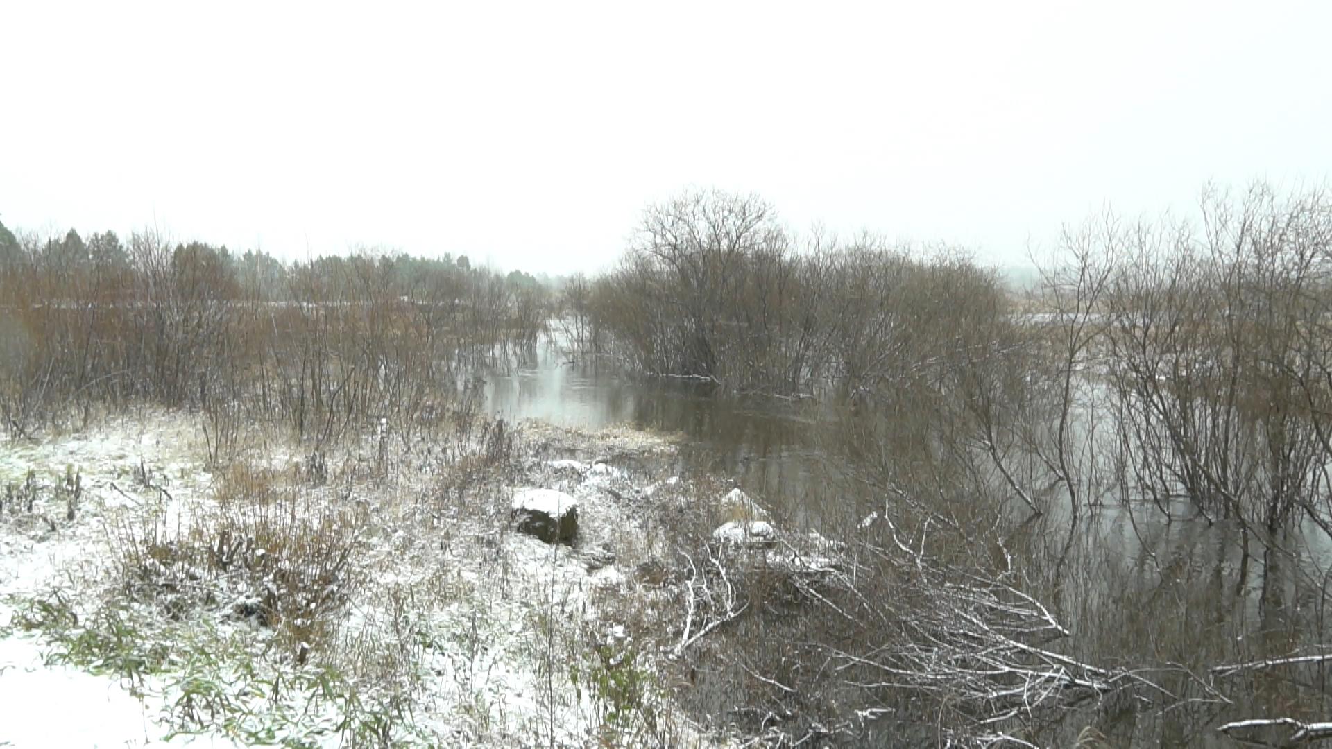 В Костромской области «большую воду» сменит похолодание